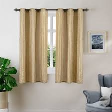 window & curtains 